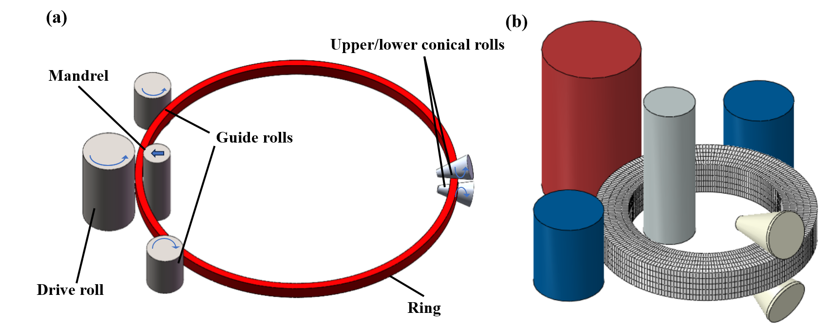 Abaqus/Explicit ring-rolling system showing the ring, tooling, and mesh
